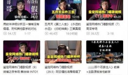 逗哥粉丝爆料事件视频在线观看,揭秘事件背后真相