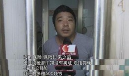 深圳一女士爆料视频最新,揭露惊人真相！