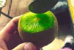 抖音网红吃瓜百度,揭秘百度背后的秘密